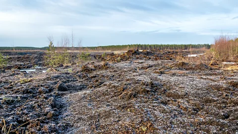 Antoine Scherer Linnunsuo Lagoon was a barren lagoon "Moon view" In the past (Credit: Antoine Scherer)