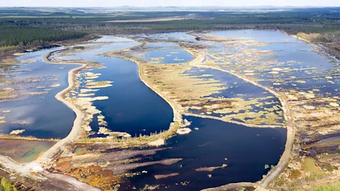 Mika Honkalinna Rewetting wetlands has stopped the decomposition of peat, which prevents harmful CO2 emissions (Credit: Mika Honkalinna)