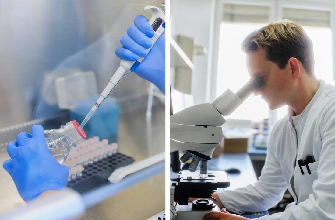 The photo on the right shows Thijs van Klaveren, bioprocess engineer at Planet A Foods, looking through a microscope at the company's lab. In the photo on the left, the employee's blue hands use a pipette to extract liquid from the bottle.