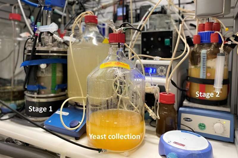 Microbes convert CO2 into protein and vitamins with renewable energy